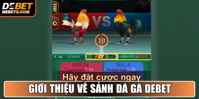 Giới thiệu về sảnh Đá Gà DEBET